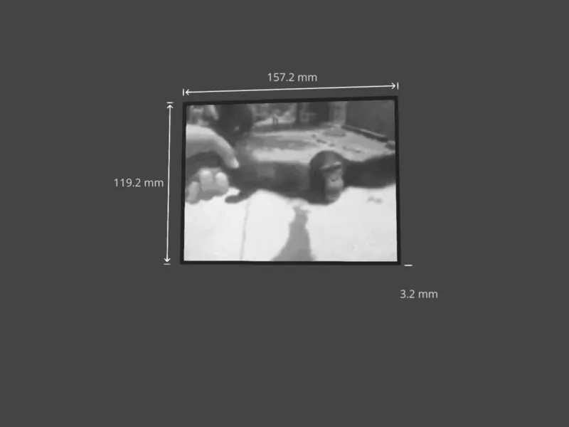 life could be dream lithopone