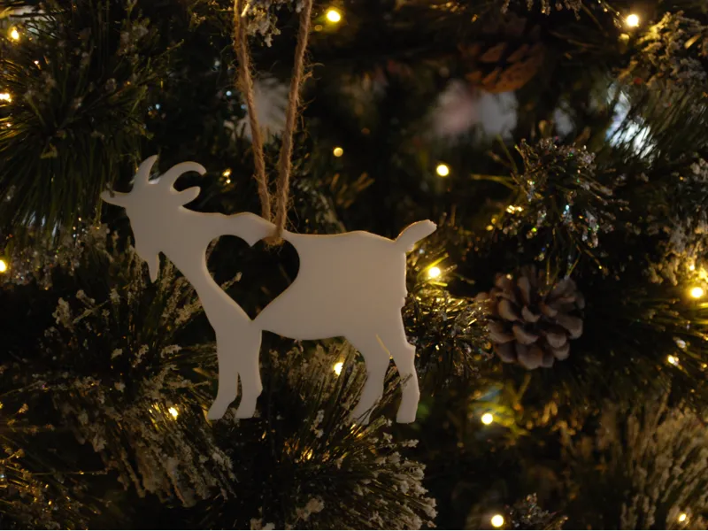 Christmas ornament 
