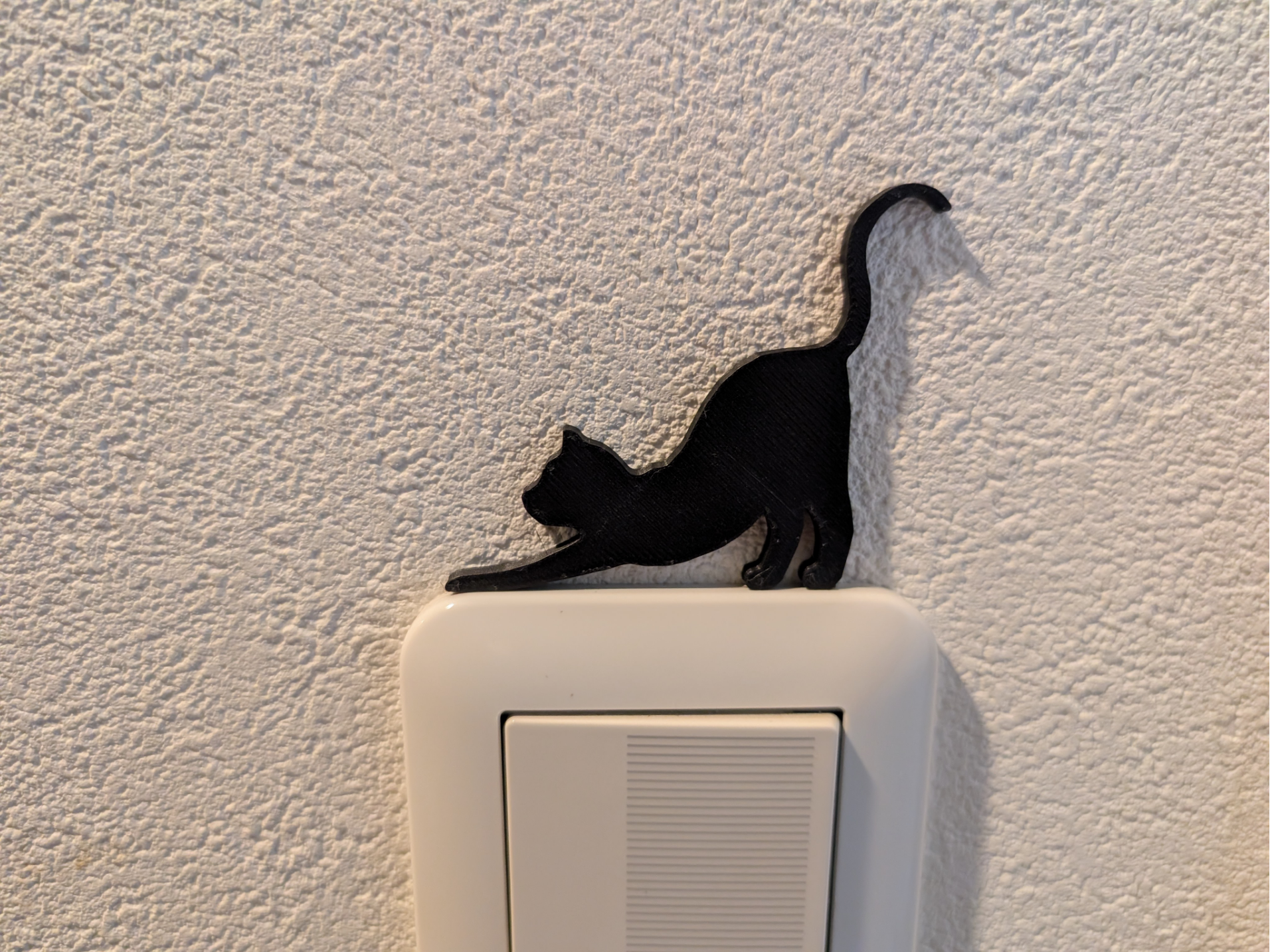 on cat