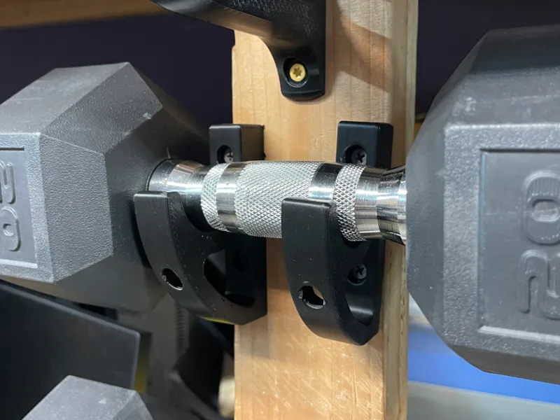 Dumbbell Wall Mount
