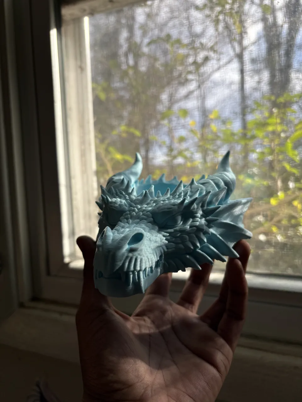 Dragon Head Catchall Tray Desk Entryway Organizer view 2