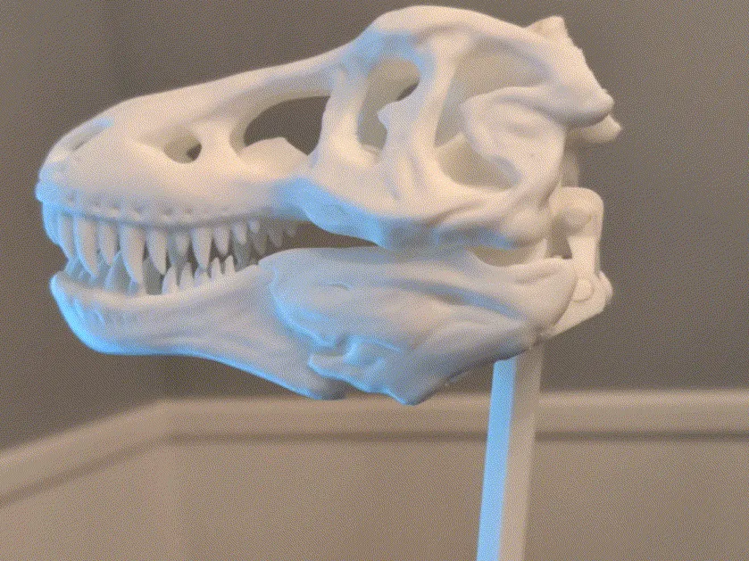 Pince à long manche crâne de T-Rex