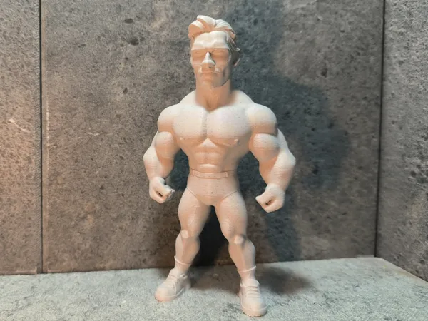 https://makerworld.bblmw.com/makerworld/model/US9f682344f8e449/design/b418cc95b67324e6.jpg