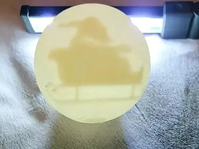 Secret Santa Christmas Light Shade