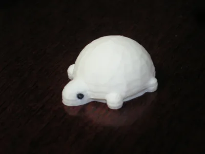 a cute turtle