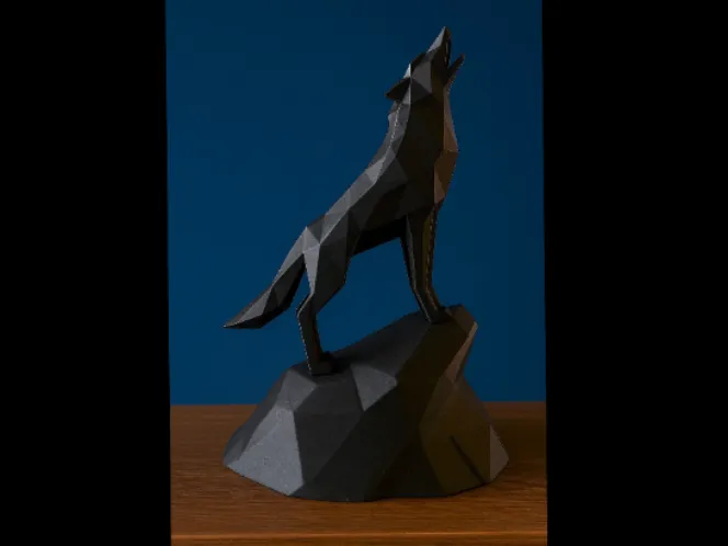Lupo poligonale - Polygonal wolf