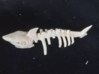 0.2mm 层高, 2 层墙, 10% 填充