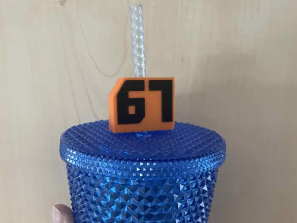 https://makerworld.bblmw.com/makerworld/model/US9f762ab78bd11f/design/2025-10-17_e2c36160c57a88.jpeg