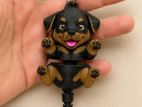 https://makerworld.bblmw.com/makerworld/model/US9f78dbcfa8cabf/design/108231fc3e086ea2.png
