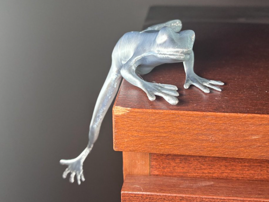 Red Eyed Tree Frog - Froggy Long Leg Shelf Sitter