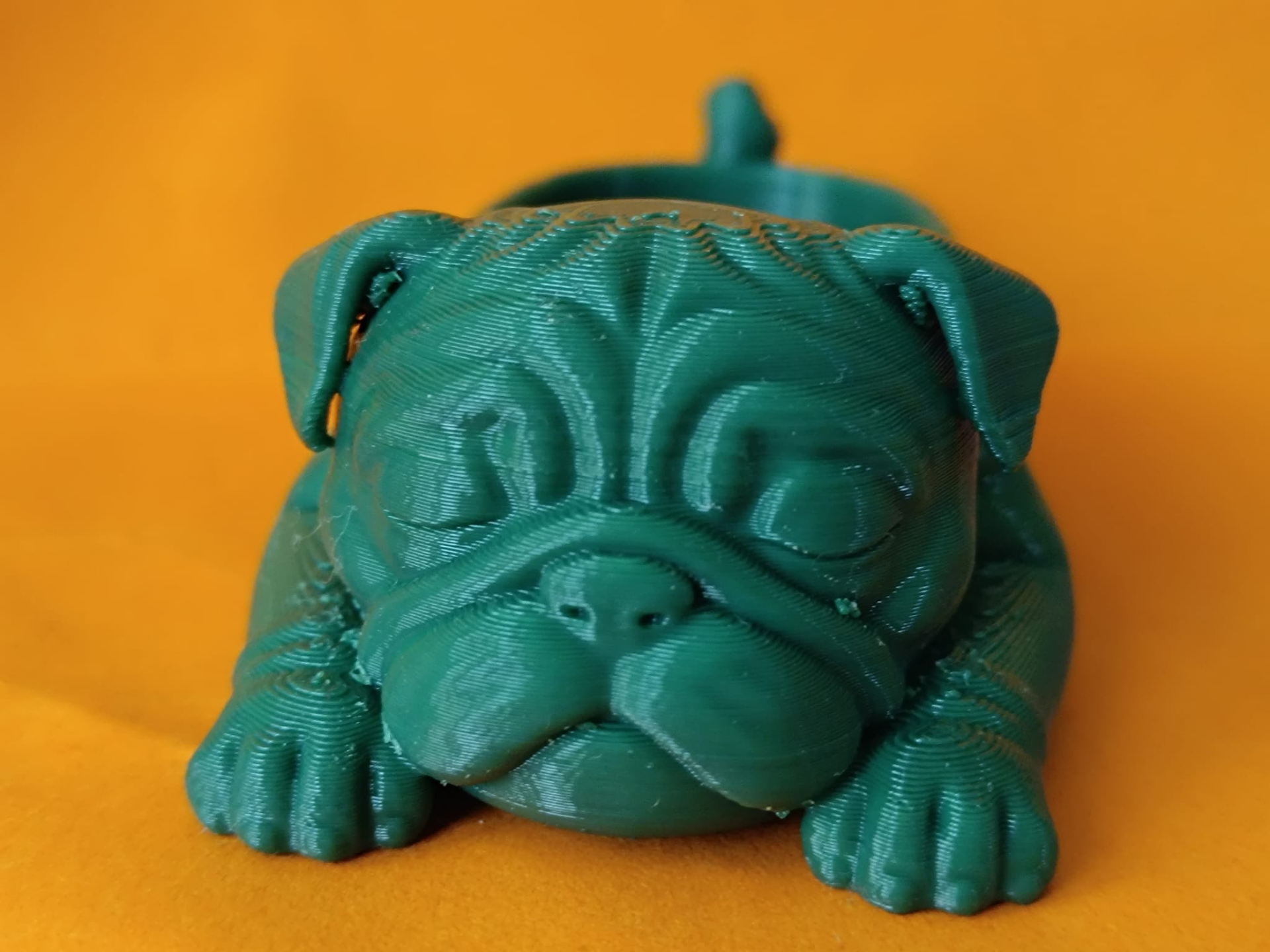 Sleeping Pug Valet tray / Bulldog cute tray
