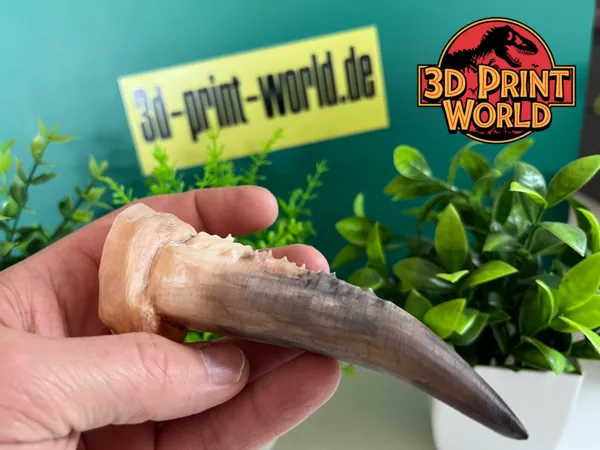 https://makerworld.bblmw.com/makerworld/model/US9f8453db308f9/design/2025-02-22_4ee624ea3df81.png