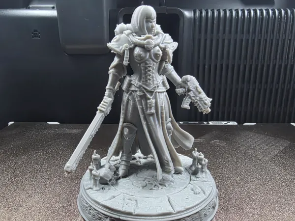 https://makerworld.bblmw.com/makerworld/model/US9f85f0ba2db942/design/c540b3ad8d612135.jpg