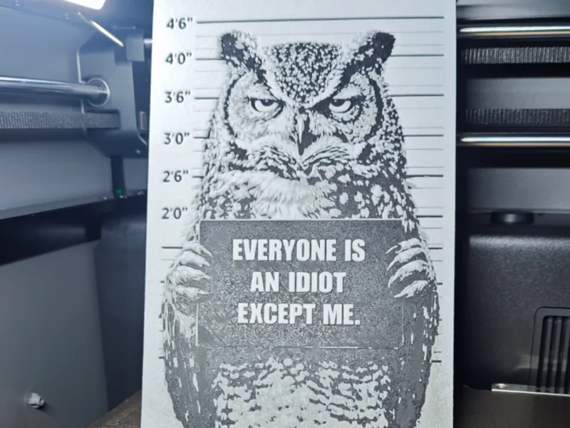 Hueforge Schlecht gelaunte Eule Mugshot
