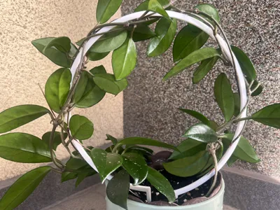 Round plant stand