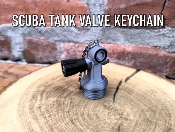 https://makerworld.bblmw.com/makerworld/model/US9f908fc346c64a/design/2025-11-21_99a54cc64a37f.png