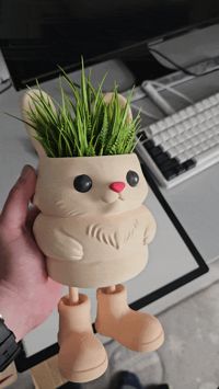 0.2mm layer, 2 walls, 10% infill