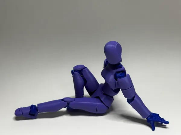 https://makerworld.bblmw.com/makerworld/model/US9f9777f5e0703c/design/2025-03-15_06d2efb108bd.webp