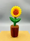 There are multi-color and single-color trays, choose your preference for printing