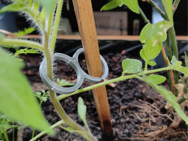 Tomato clip