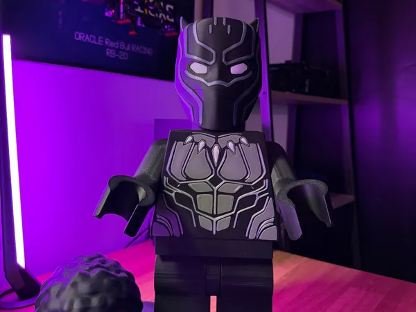 https://makerworld.bblmw.com/makerworld/model/US9fa16c936f8179/design/f4c3ce1e104a3da6.jpeg