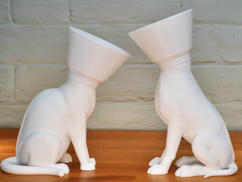 Cone of Shame Holders 