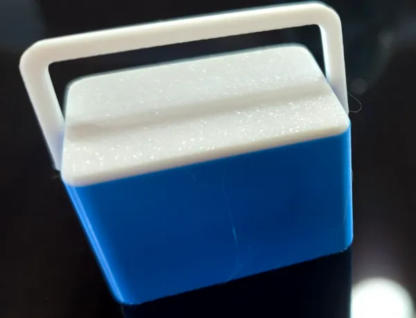 https://makerworld.bblmw.com/makerworld/model/US9fab94b7a6c888/design/2024-09-15_e2b442a62339c.jpg