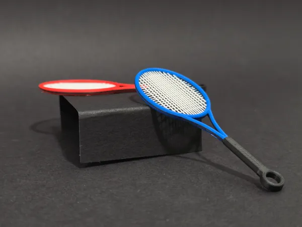https://makerworld.bblmw.com/makerworld/model/US9fb2c3058dc388/design/2024-11-26_4efe7fdaa20ad.jpg
