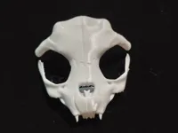 0.2mm 层高, 2 层墙, 10% 填充