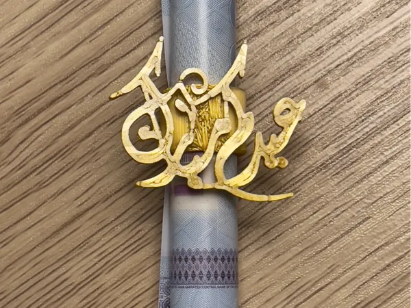 https://makerworld.bblmw.com/makerworld/model/US9fb6293f8c921d/design/2025-03-16_0bffb673fc75d8.jpg