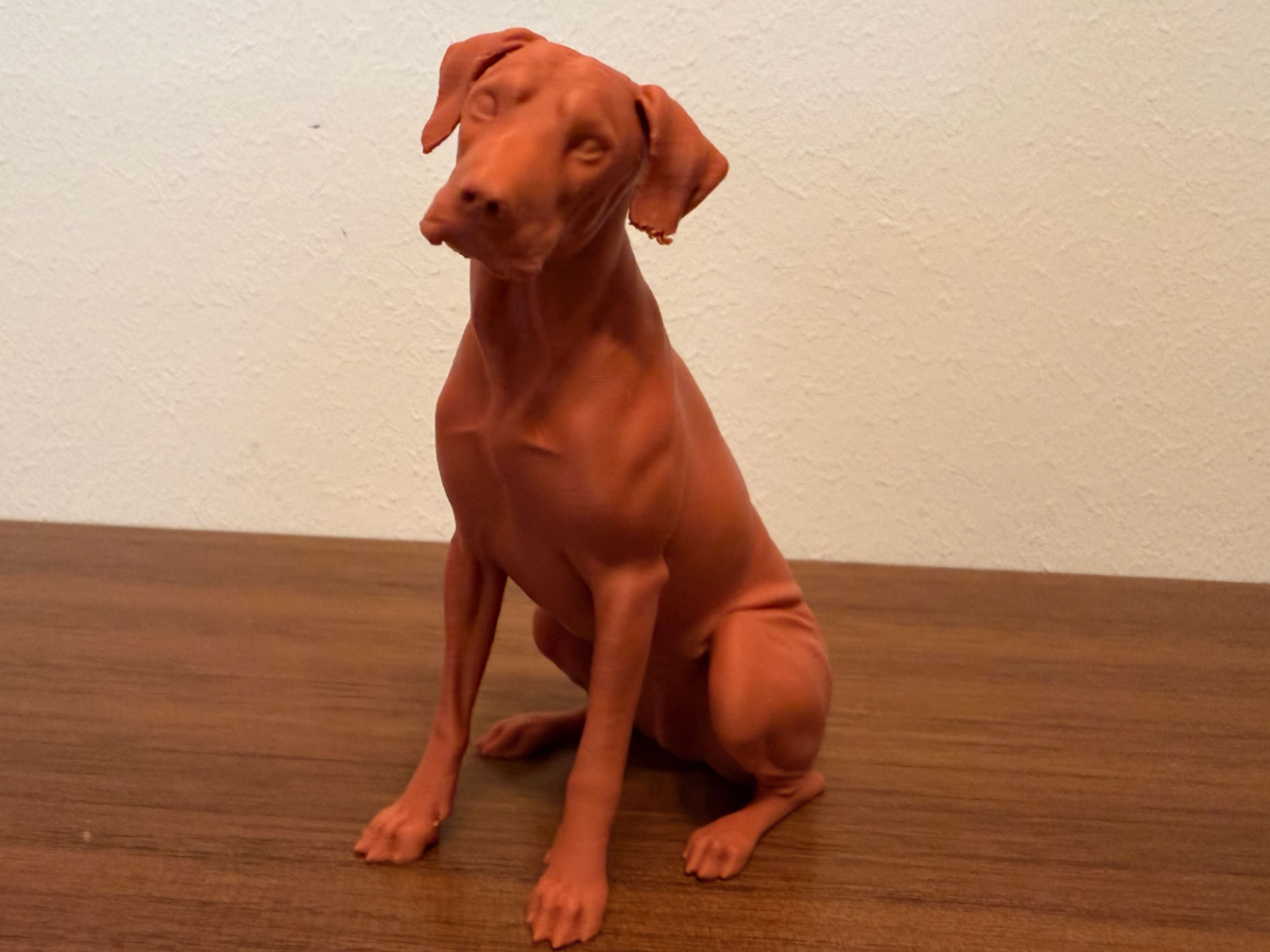 Rhodesian Ridgeback Dog
