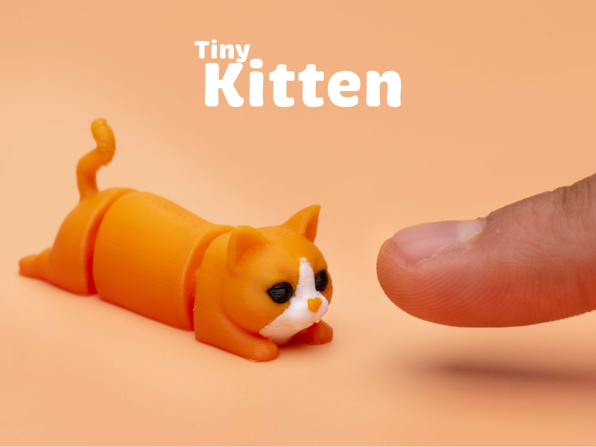 Tiny Cat (Kitten) | Articulated (no supports)
