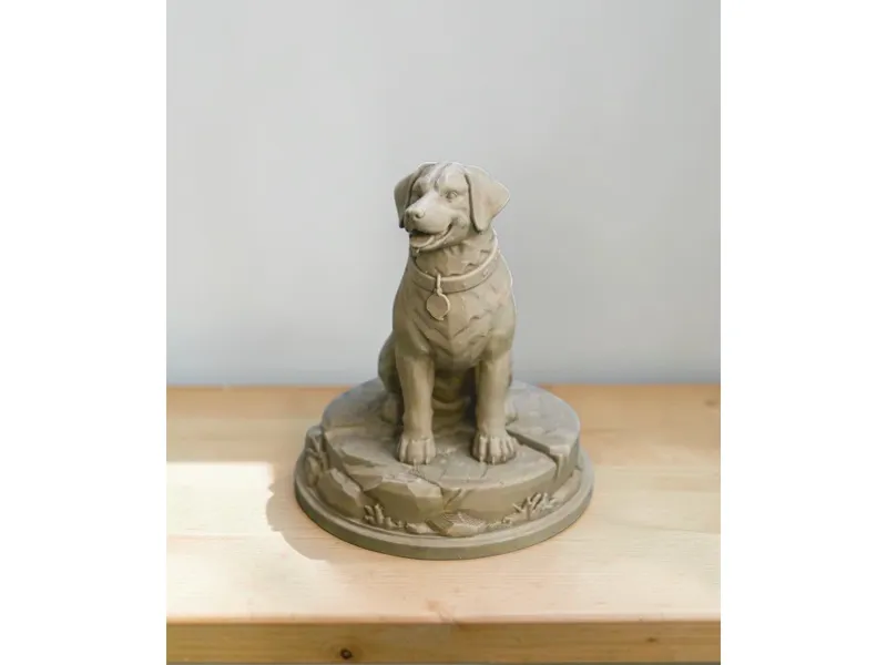 Dog Standing