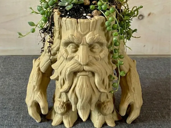 Gardien de la forêt ancienne : jardinière et organiseur de bureau