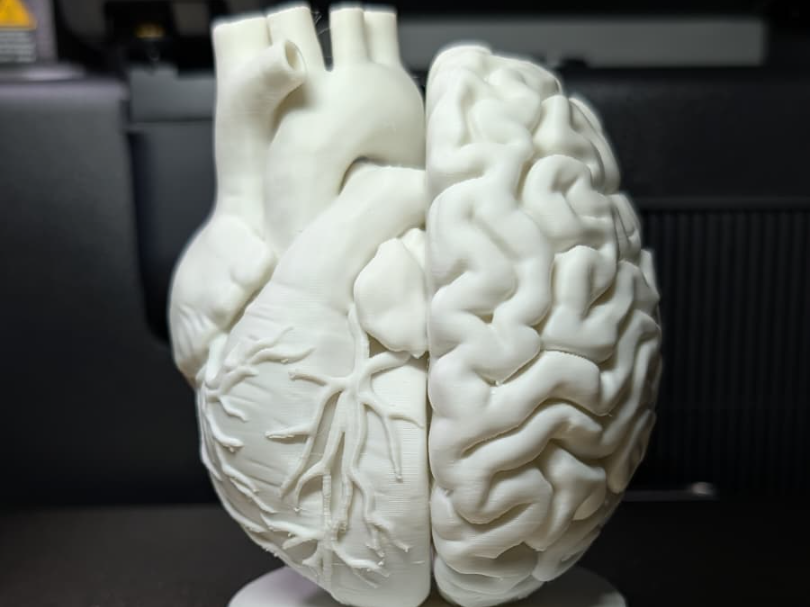 The Dualist: Resonance of Mind & Heart