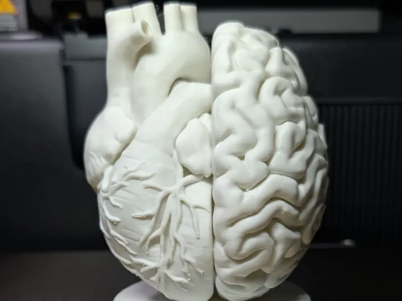 The Dualist: Resonance of Mind & Heart