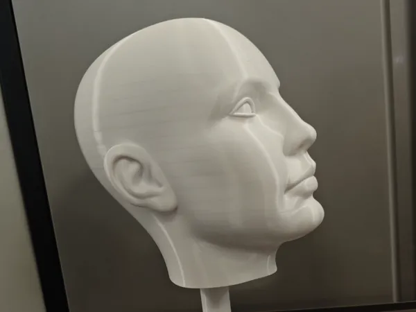https://makerworld.bblmw.com/makerworld/model/US9fbb89fe955cae/design/2025-09-13_c5aa50aceaf8f8.jpg