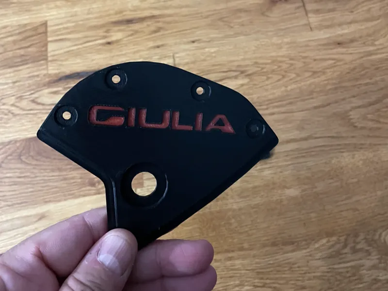 ALFA GIULIA PROTEZIONE PASSARUOTA/LOCARY