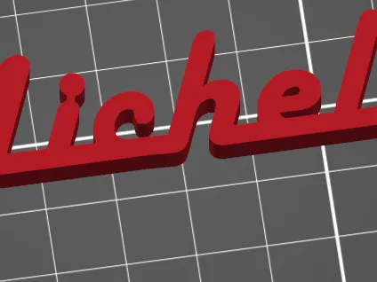 Michele Name tag key chain
