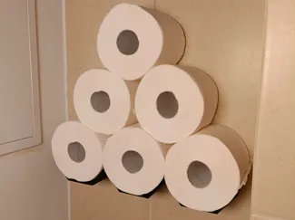 Stylish toilet paper shelf
