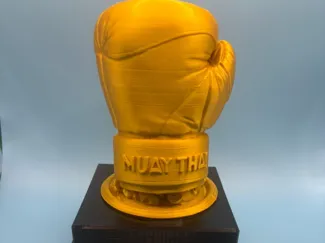 Troféu Muay Thai