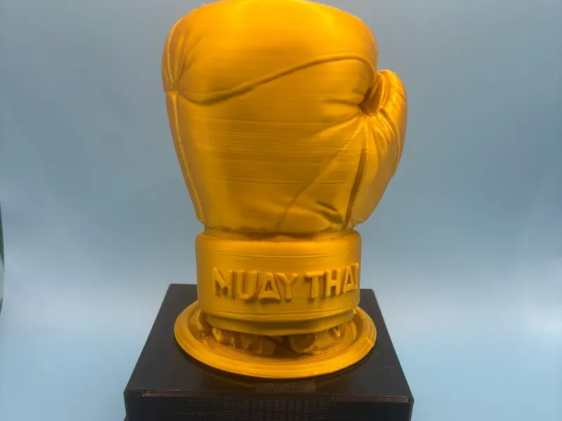 Troféu Muay Thai