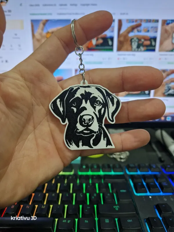 https://makerworld.bblmw.com/makerworld/model/US9fc9de35d546b0/design/2024-03-31_060ea209dccc5.jpg