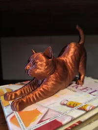 Chat qui s'étire — photo 3
