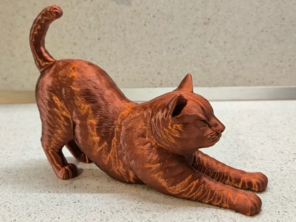 Chat qui s'étire