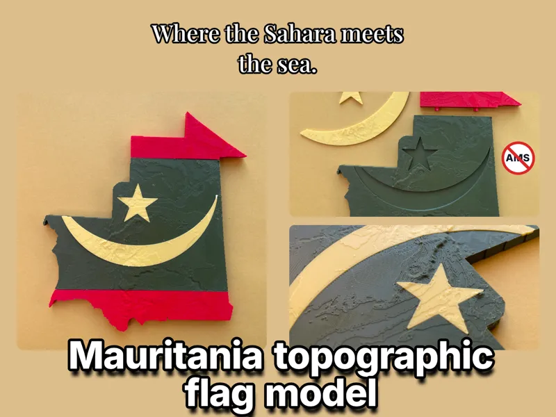 Mauritania topography flag model