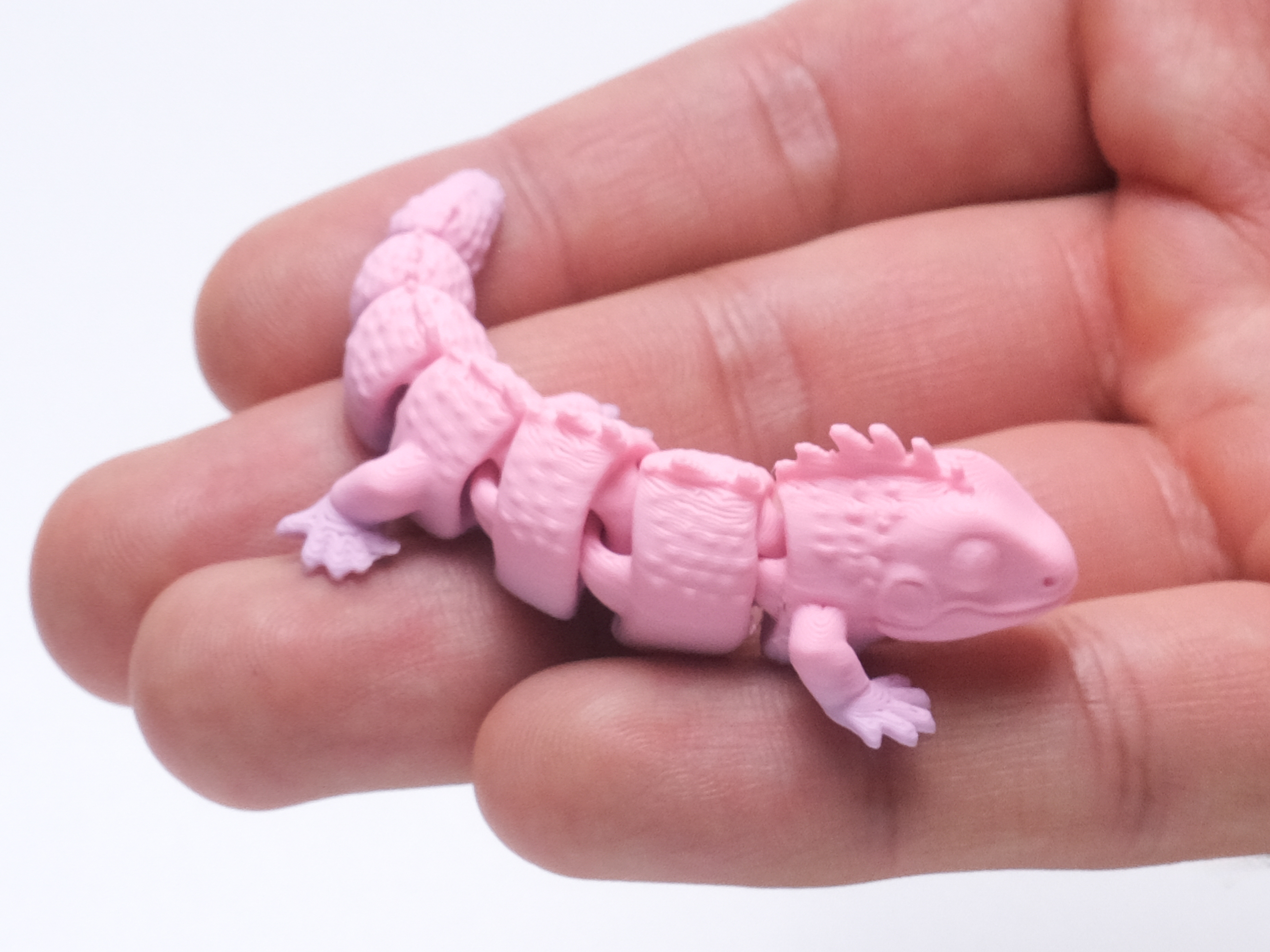 Miniatura 1 do modelo 3D Flexible Iguana