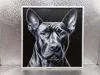 Thai Ridgeback_170x170_X1C