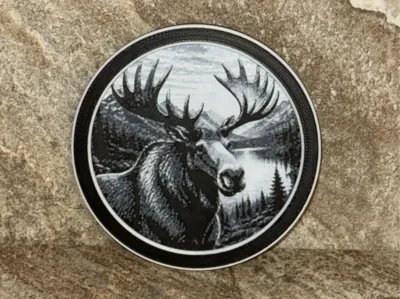 Moose Coaster
