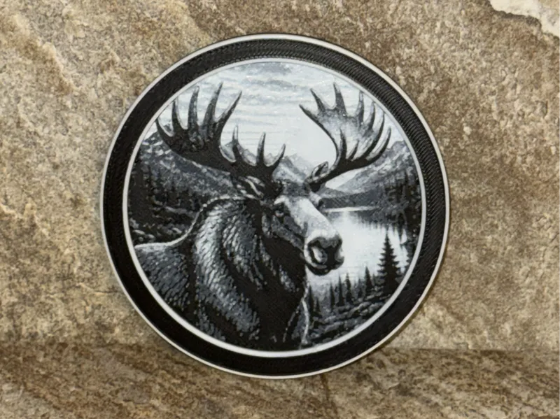 Moose Coaster
